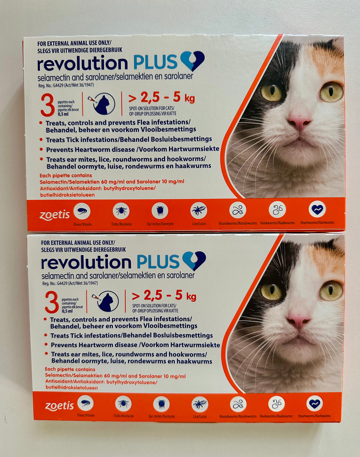 Rev + for (5-11 lbs) Cats — 2 Boxes